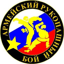 В Московской области пройдет международный турнир по армейскому рукопашному бою на Кубок Бориса Громова