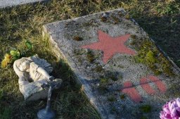 Евросоюз сделает 9 мая своим праздником
