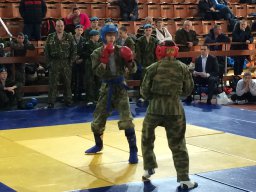 В Москве прошел Фестиваль боевых искусств
