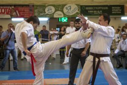 Открытый чемпионат по каратэ в Иваново