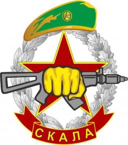 Экзамен на зеленый берет пройдет в Москве
